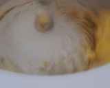 Foto langkah ke 3 dari resep Roti Tawar Kismis/ Raisin Bread.