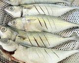 Gambar langkah 2 resipi 👩🍳Ikan Kembung Goreng Berempah.