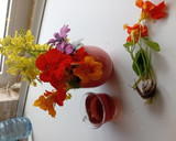 عکس مرحله 3 از دستور چای گل لادن
