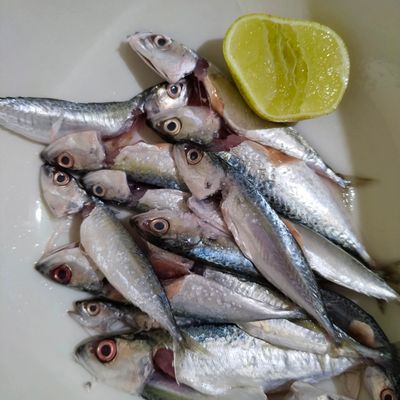Langkah 1