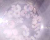 Foto del paso 4 de la receta: Ceviche de mariscos
