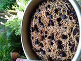 Brownis Nutrijel