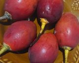 Foto langkah ke 1 dari resep Jus terong pirus.