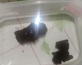 Foto langkah ke 2 dari resep Sambal cumi kering.
