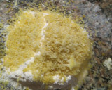Foto del paso 2 de la receta: Rosegones con chocolate