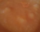 Foto langkah ke 3 dari resep Puding Pepaya.