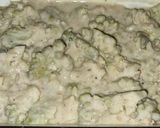 Foto del paso 6 de la receta: Coliflor romanesco gratinado con bechamel de anchoas y algo más!