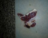 Foto del paso 5 de la receta: Salteado al vino de champiñones con habichuelas y jamón ibérico