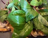 A picture of step 5 of Clams with Basil and Rice Wine.