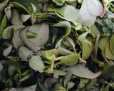 कुल्फा भाजी दाल रेसिपी चरण 2 फोटो