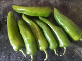 ભરેલા મરચાં (Bharela Marcha Recipe In Gujarati)