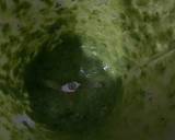Spinach waffles chaat recipe step 2 photo