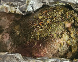 Foto del paso 5 de la receta: Bondiola a la parrilla