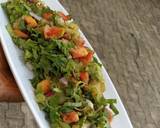 Saladmatakin girki4 hoto