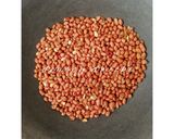 Foto langkah ke 1 dari resep Kue Kacang (kucang).