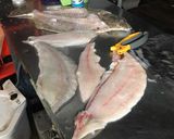 A picture of step 2 of Flounder Fillet.