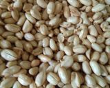 Foto langkah ke 5 dari resep Kacang Klicen Gurih.