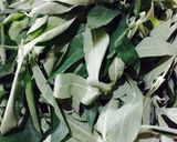 Foto langkah ke 1 dari resep Sayur Daun Singkong Ebi.