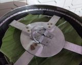 A picture of step 11 of Momo genasale.