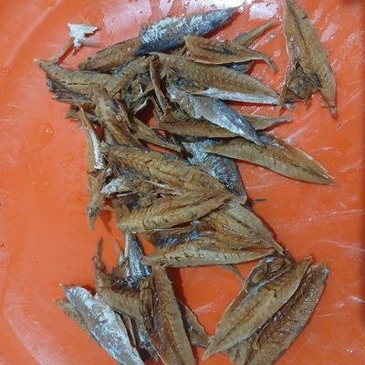 Langkah 7