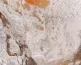 عکس مرحله 2 از دستور نان چاپاتی (روتی)