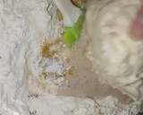 Foto del paso 6 de la receta: Pancitos estilo pan dulce 🥰✨