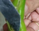 A picture of step 2 of Oil Free Green chilly Pickle.