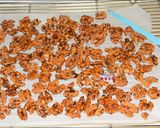 蜜汁烤核桃的食譜步驟8照片