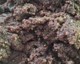 Foto del passaggio 2 della ricetta Biscotti stelline al cacao e mandorle senza uova