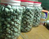Foto langkah ke 11 dari resep Chocolate Espresso Snowcaps Cookies.