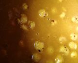 मखाना वाली दाल (makhana wali Dal recipe in Hindi) रेसिपी चरण 1 फोटो