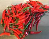 Une image de l'étape 1 de Piments rouges thaïlandais en conserve.