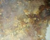 Foto del paso 6 de la receta: Matambre a la leche