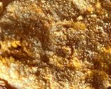 Foto del paso 4 de la receta: Tarta de calabaza