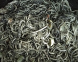 Foto del paso 4 de la receta: Espaguetis con tinta de calamar