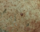 Foto del paso 10 de la receta: Bizcochuelo o bizcocho de naranja sin azúcar y sin harina