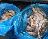 A picture of step 1 of Peri Peri Prawns (shrimp).