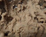 Foto del paso 2 de la receta Galletas de mantequilla