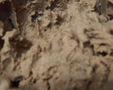 Foto del paso 2 de la receta: Galletas de mantequilla
