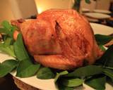 Dry Brined Turkey - you'll be giving thanks for this recipe for years to come :D recipe step 9 photo