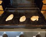 Grilled Chicken Gyros with Greek Air Fried Potatoes recipe step 4 photo