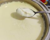 Foto langkah ke 7 dari resep Non Fat Milk Greek Yogurt.