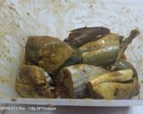 Foto langkah ke 1 dari resep Ikan "Tumisan".