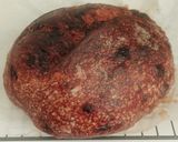Foto langkah ke 21 dari resep Double Chocolate Sourdough Bread.