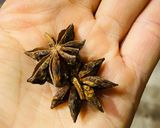 Hình bước làm 1 của món Masala chai tea - Trà Masala chai Ấn Độ