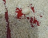 Foto langkah ke 6 dari resep Keciput (Onde-onde Ceplus).