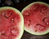 A picture of step 1 of Watermelon Juice Dispenser.