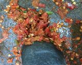 Foto langkah ke 2 dari resep Sambal terasi.