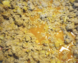 A picture of step 4 of Experiment Chili Batch 3.