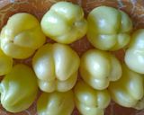 Zöldségfélével töltött paprika recept fázis 1 fotója